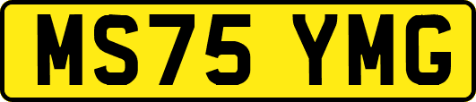 MS75YMG