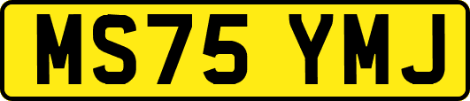 MS75YMJ