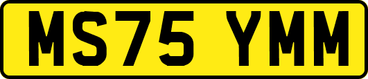 MS75YMM