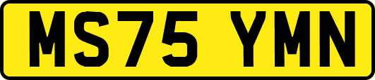 MS75YMN