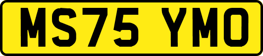 MS75YMO