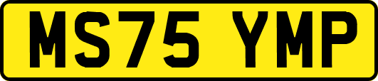 MS75YMP