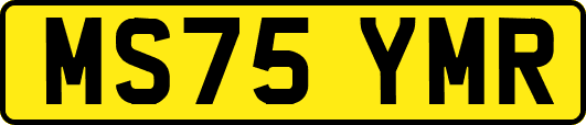MS75YMR