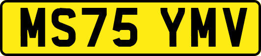 MS75YMV