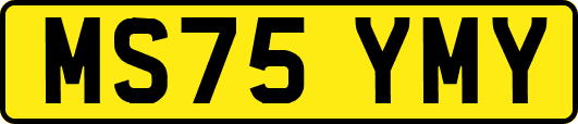 MS75YMY