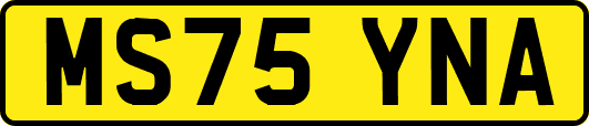 MS75YNA