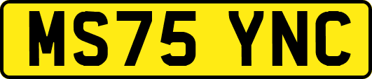 MS75YNC