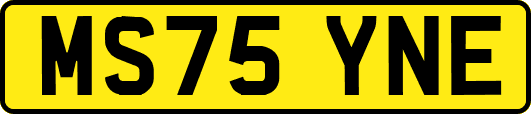 MS75YNE