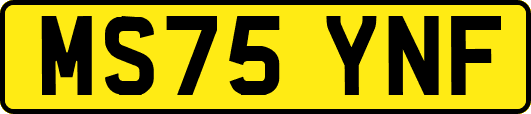 MS75YNF
