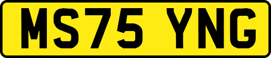 MS75YNG