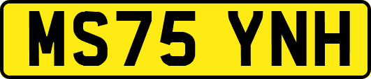 MS75YNH