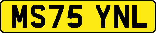 MS75YNL