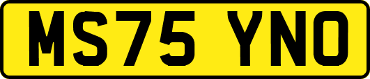 MS75YNO