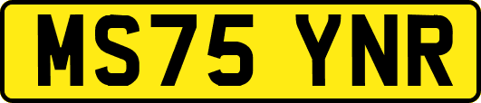 MS75YNR