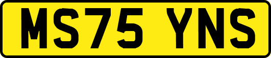 MS75YNS