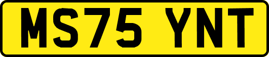 MS75YNT