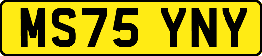 MS75YNY