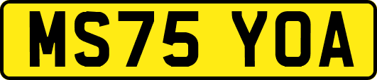 MS75YOA