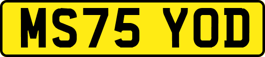 MS75YOD