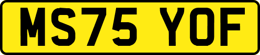 MS75YOF