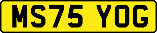 MS75YOG