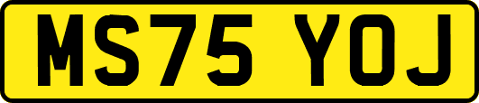 MS75YOJ