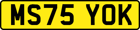 MS75YOK