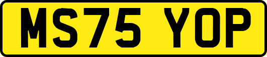 MS75YOP