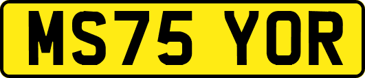 MS75YOR