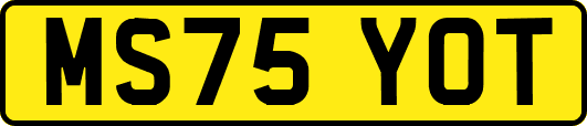 MS75YOT