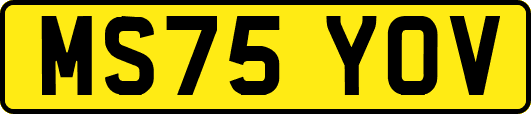 MS75YOV