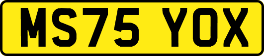 MS75YOX