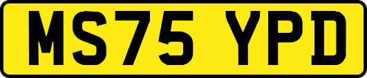 MS75YPD