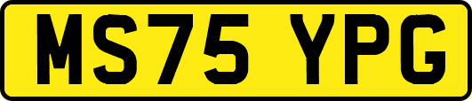 MS75YPG