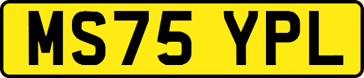 MS75YPL