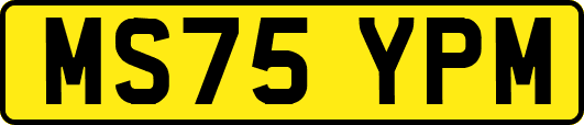 MS75YPM