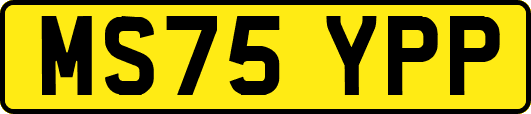 MS75YPP