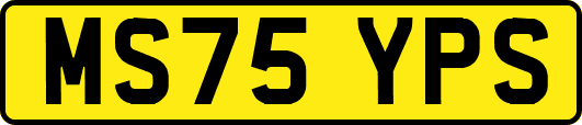 MS75YPS