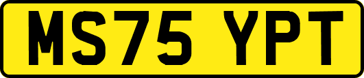 MS75YPT