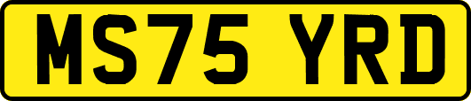 MS75YRD