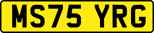 MS75YRG