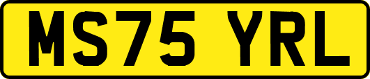 MS75YRL