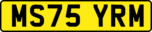 MS75YRM