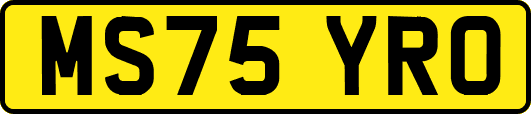 MS75YRO