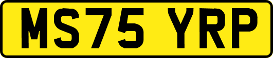 MS75YRP