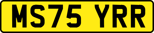 MS75YRR