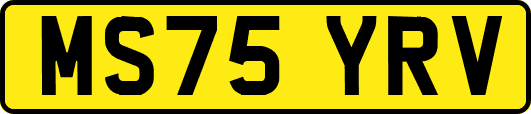 MS75YRV