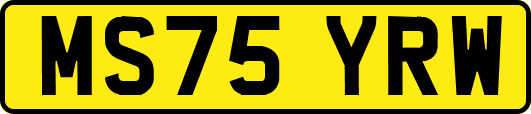 MS75YRW