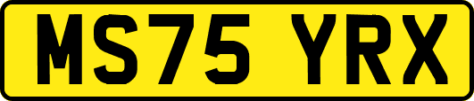 MS75YRX