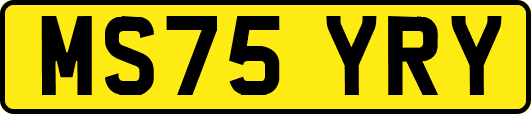 MS75YRY